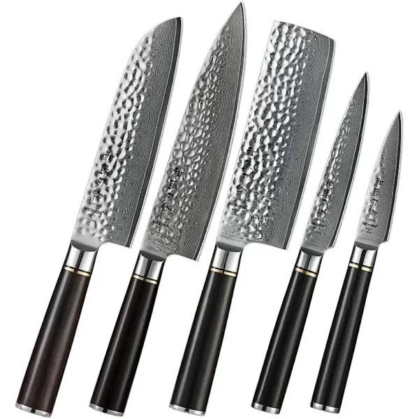5pcs Damascus Chef Knife Set - Classic Series
