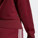 adidas-Adicolor Classics Firebird Track Jacket-Women-Shadow Red-M