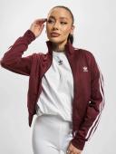 adidas-Adicolor Classics Firebird Track Jacket-Women-Shadow Red-XS