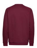 adidas-Adicolor Classics Trefoil Crewneck Sweatshirt-Men-Shadow Red-XS