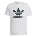 adidas-Adicolor Classics Trefoil Tee-Men-White / Mineral Green-XS