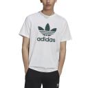 adidas-Adicolor Classics Trefoil Tee-Men-White / Mineral Green-XS
