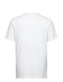 adidas-Adicolor Classics Trefoil Tee-Men-White / Mineral Green-XS