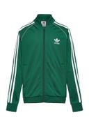 adidas-Adicolor SST Track Jacket-Kids-Dark Green-7-8Y
