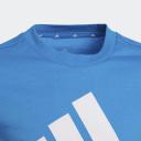 Adidas Boys Big Logo T-Shirt - Blue/White