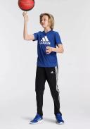 Adidas Boys' Big Logo Tee (Royal Blue/White, Size 2XL)