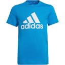 Adidas Boys' Big Logo Tee (Royal Blue/White, Size M)