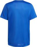Adidas Boys' Big Logo Tee (Royal Blue/White, Size M)