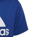 Adidas Boys' Big Logo Tee (Royal Blue/White, Size M)