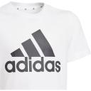 Adidas Boys Essentials Logo Tee White 5-6