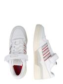 adidas-Forum Low Shoes-Men-Cloud White / Grey One / Blue-10