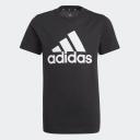 Adidas Girls' Big Logo T-Shirt (Black/White, Size 6-7Y)
