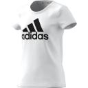 Adidas | Girls Essentials Big Logo Tee (White/Black) 11-12Y