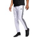 Adidas Men's Tiro 19 Pants