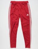 Adidas Men's Tiro 19 Pants