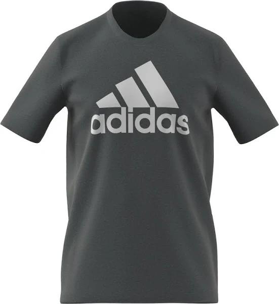 Adidas Mens Essentials Big Logo Tee Grey XL