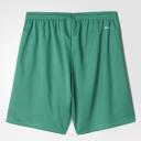 Adidas Parma 16 Shorts Green - S