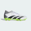 Adidas Predator Accuracy.3 FG Football Boots