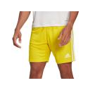 Adidas Squadra 21 Shorts, Yellow / L