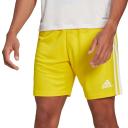 Adidas Squadra 21 Shorts, Yellow / L