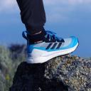 Adidas Terrex Free Hiker GORE-TEX Magic Grey Sky Rush (Women's)