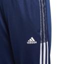 Adidas Tiro 21 Track Pants