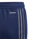 Adidas Tiro 21 Track Pants