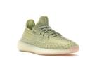 Adidas Yeezy Boost 350 V2 Antlia (Reflective)