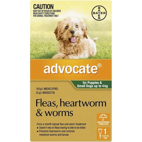 Advocate Dog Small Green