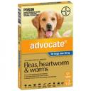 Advocate Large Dog Red 10-25kg