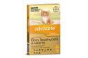 Advocate Orange for Small Cat