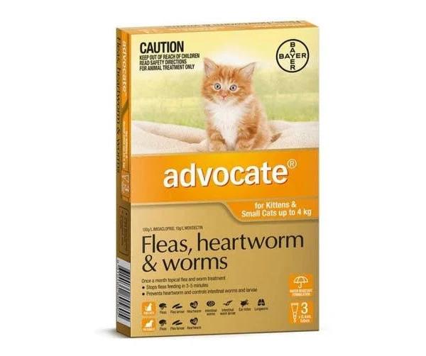 Advocate Orange for Small Cat