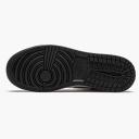 Air Jordan 1 Retro High OG Light Smoke Grey