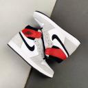 Air Jordan 1 Retro High OG Light Smoke Grey