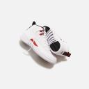 Air Jordan 12 Retro 'Twist'