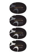 Altenew Rock Collection Crisp Dye Ink Pad Set