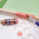 Americana Acrylic Paint 2oz Coral