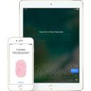 Apple iPad 9.7" (2017) 32GB Wifi - Gold