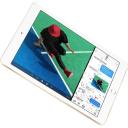 Apple iPad 9.7" (2017) 32GB Wifi - Gold