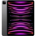 Apple iPad Pro 11 2021 Wifi 256GB Silver