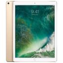 Apple iPad Pro 12.9 Wifi 512 GB Gold