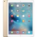 Apple iPad Pro 2nd 12.9" with Wi-Fi 2017 Model, 512GB, Gold (Renewed)