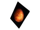 Apple iPad Pro (32GB, Wi-Fi, Space Gray) 12.9in Tablet (Renewed)