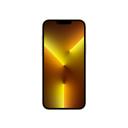 Apple iPhone 13 Pro Max 256GB Gold Unlocked
