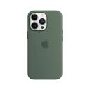 Apple iPhone 13 Pro Silicone Case With Magsafe Eucalyptus