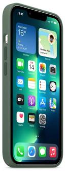 Apple iPhone 13 Pro Silicone Case With Magsafe Eucalyptus