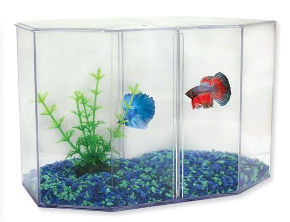 AQUA ONE BETTA DUO TANK