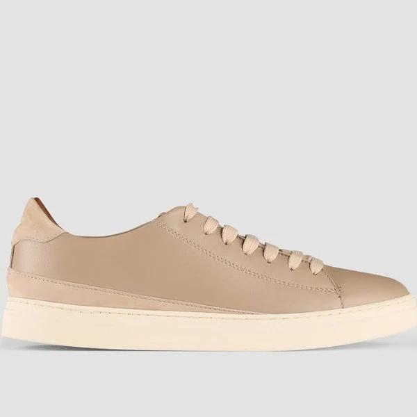Aquila Perry Leather Sneakers in Taupe 40