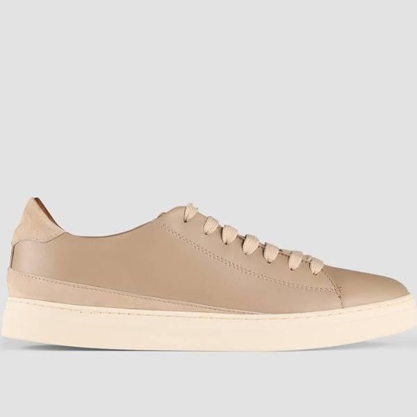 Aquila Perry Leather Sneakers in Taupe 46