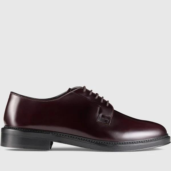 Aquila Rooney Burgundy Derby Shoes